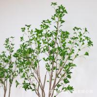 uploads/erp/collection/images/Home Garden/dgjiawang/XU0612681/img_b/XU0612681_img_b_4